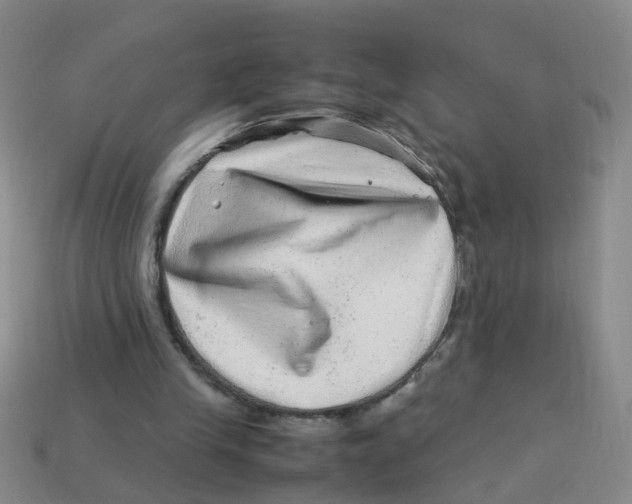 X0000113330245200910131154