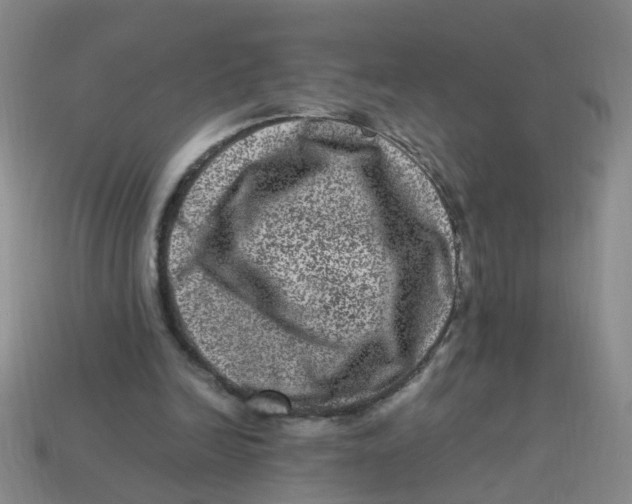 X0000113330246200910131154