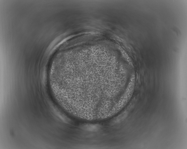 X0000113330247200910131154
