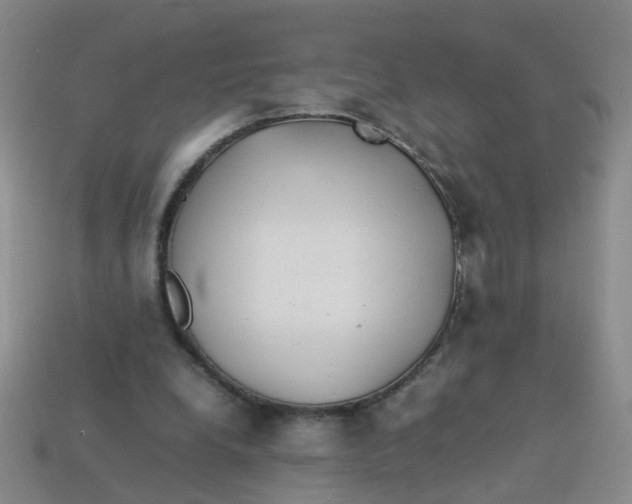 X0000113330248200910131154