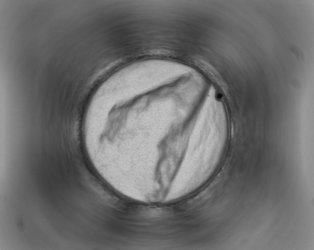 X0000113330249200910131154