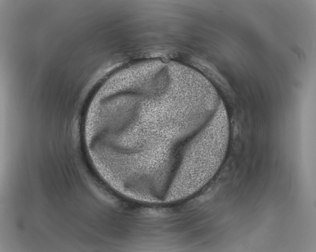 X0000113330250200910131154