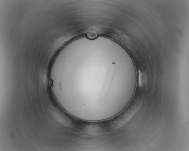 X0000113330252200910131154