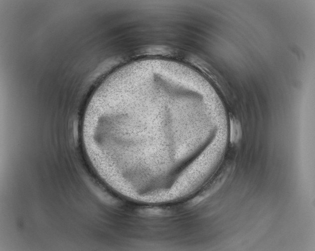 X0000113330253200910131154