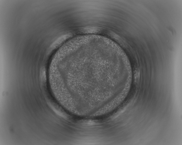 X0000113330254200910131154