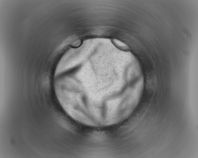 X0000113330256200910131154