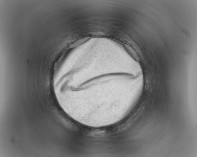 X0000113330257200910131154