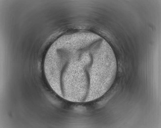 X0000113330258200910131154