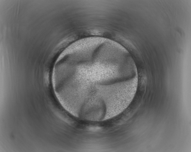 X0000113330262200910131154