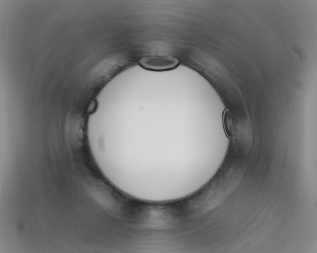 X0000113330264200910131155