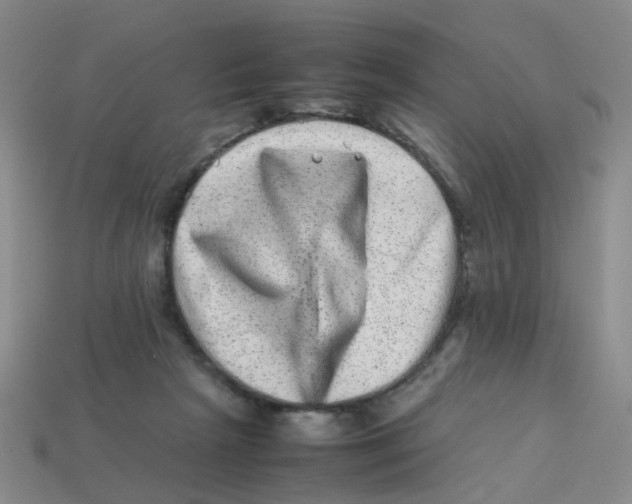 X0000113330265200910131155