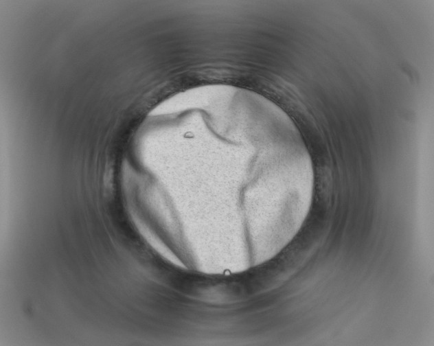X0000113330267200910131155