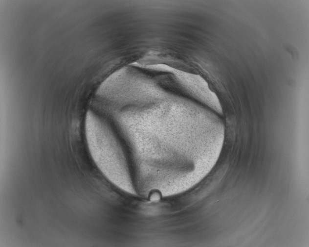 X0000113330269200910131155