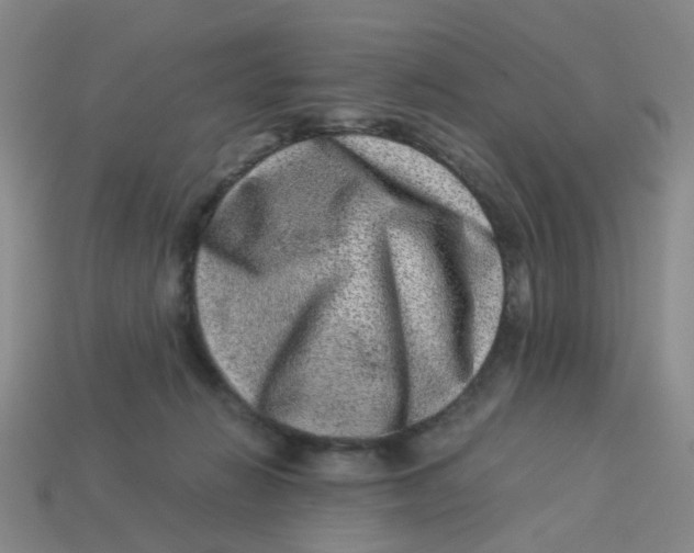 X0000113330270200910131155