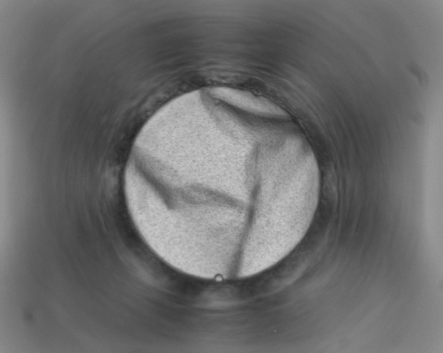 X0000113330271200910131155