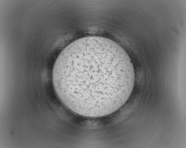 X0000113330272200910131155