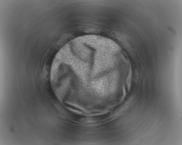 X0000113330273200910131155