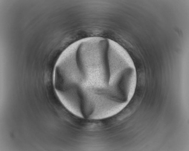 X0000113330274200910131155