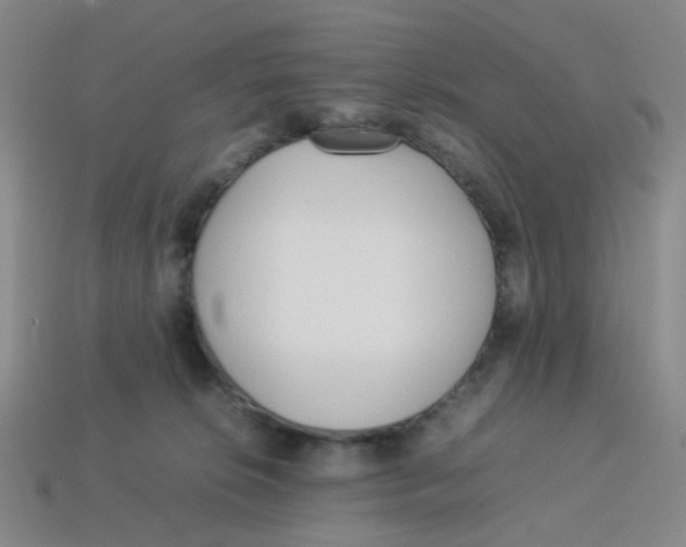 X0000113330276200910131155