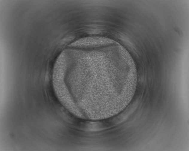 X0000113330277200910131155