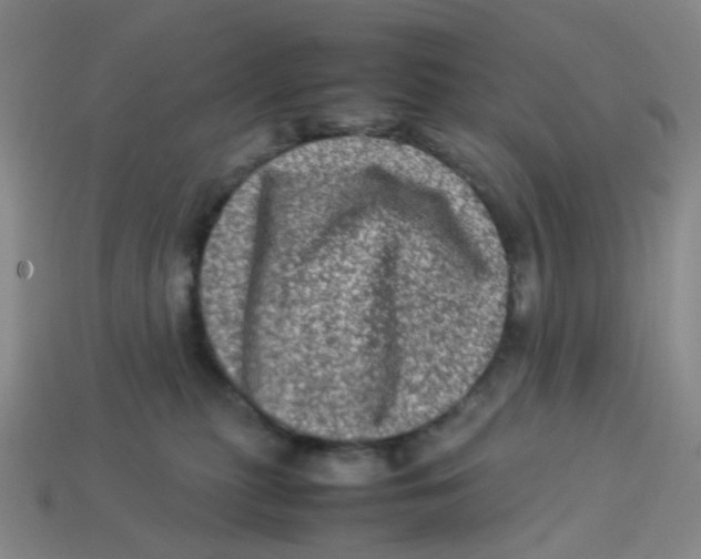X0000113330279200910131155