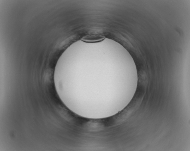 X0000113330280200910131155