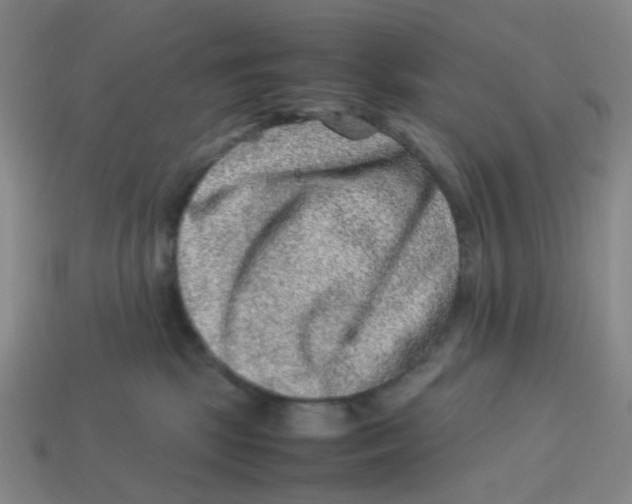 X0000113330281200910131155
