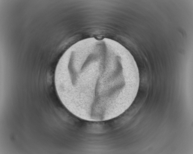 X0000113330282200910131155