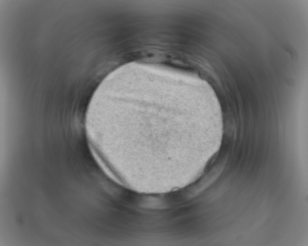 X0000113330285200910131155