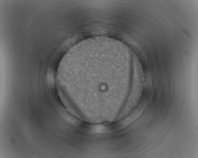 X0000113330287200910131155