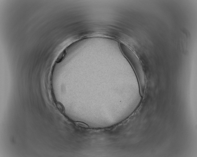 X0000113330289200910131154