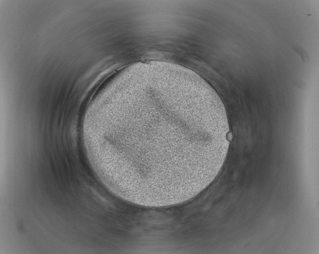 X0000113330290200910131154