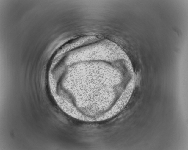 X0000113330291200910131154