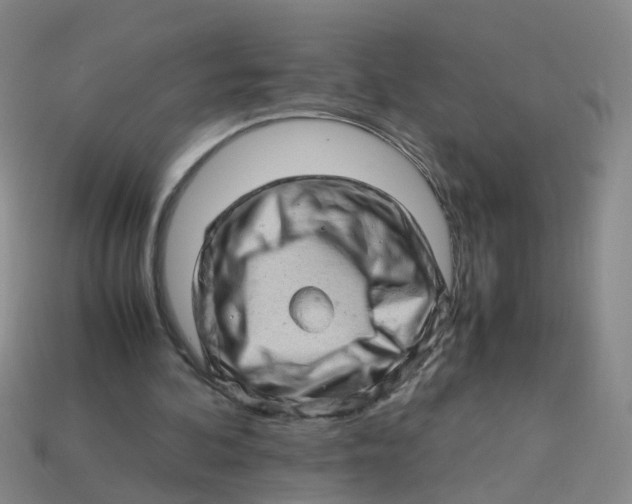 X0000113330292200910131154