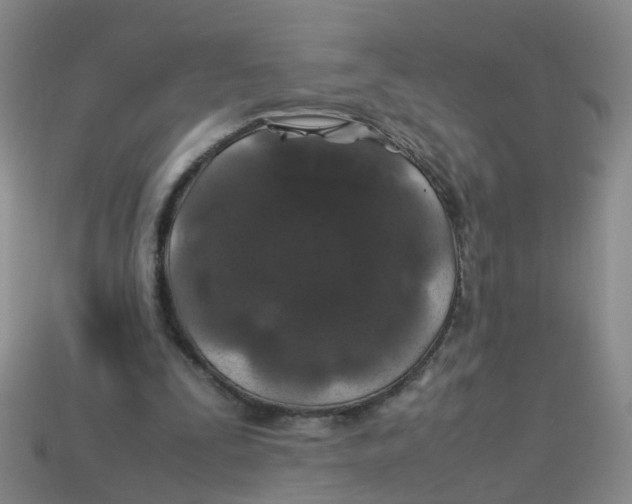 X0000113330295200910131154