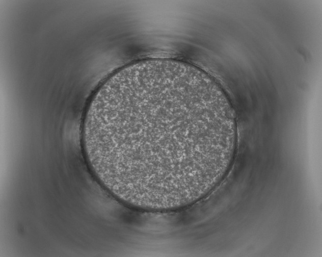 X0000113330297200910131154