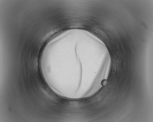 X0000113330298200910131154