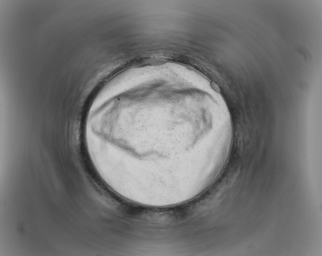 X0000113330299200910131154