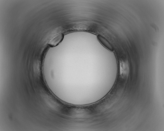 X0000113330300200910131154