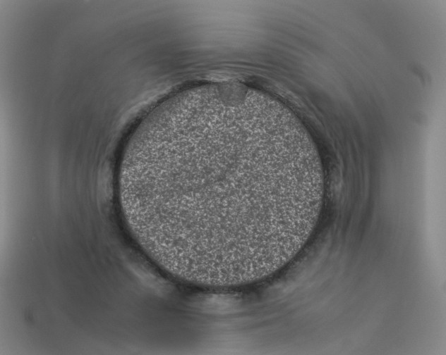 X0000113330303200910131154