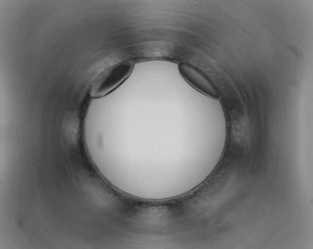 X0000113330304200910131154