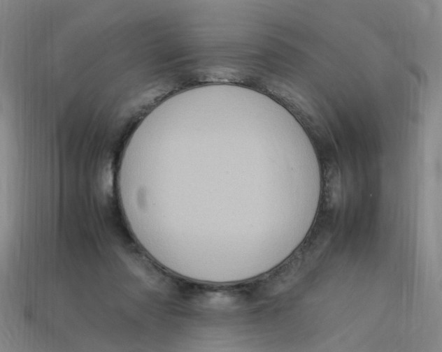 X0000113330310200910131154