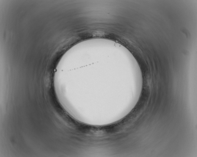 X0000113330311200910131154