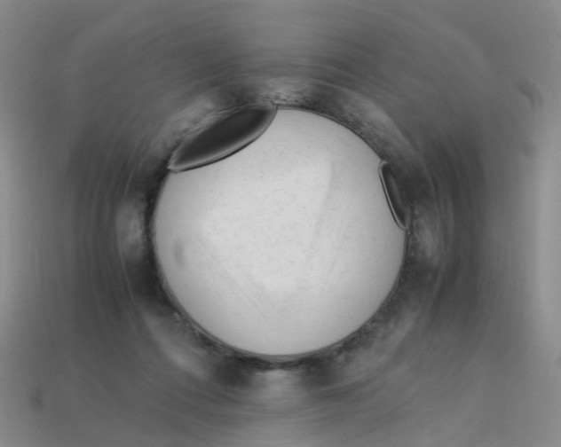 X0000113330312200910131154