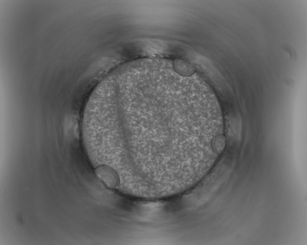 X0000113330313200910131154