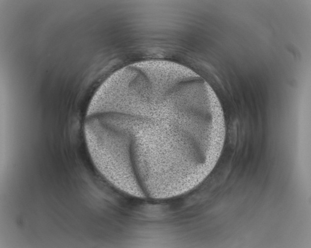 X0000113330314200910131154