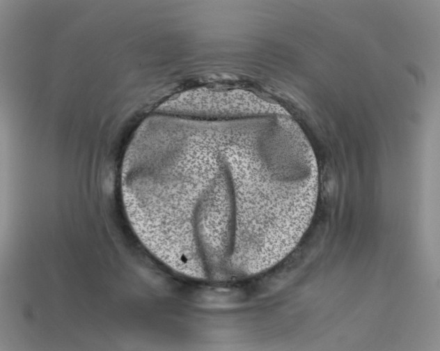 X0000113330315200910131154