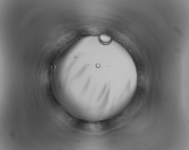 X0000113330317200910131154