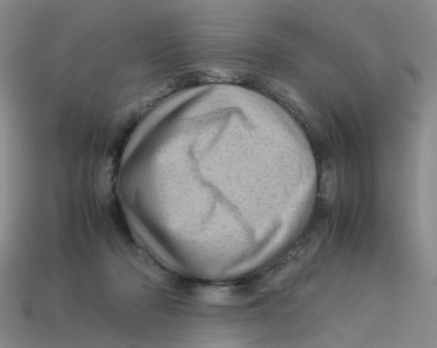 X0000113330318200910131154