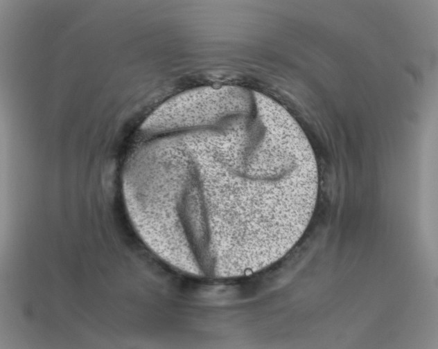 X0000113330319200910131154
